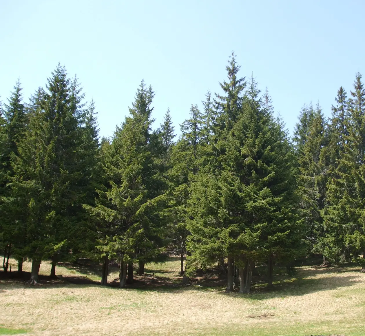 casa_rural_los_truferos_paisaje_gudar-javalambre